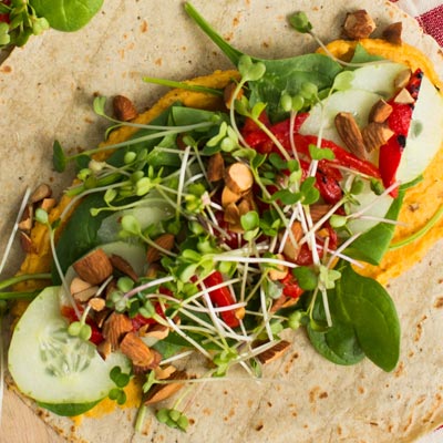 Vegetarian wrap